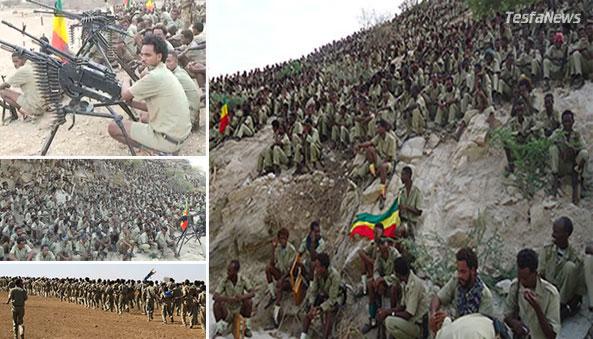 tesfanews's tweet photo. #Ethiopia: Ginbot 7 and EPPF Military Wings Merged http://t.co/1N9Ilg80dY  @Ginbot7Movement #EPPF #AGUDM #Eritrea http://t.co/F7PdVEwauP