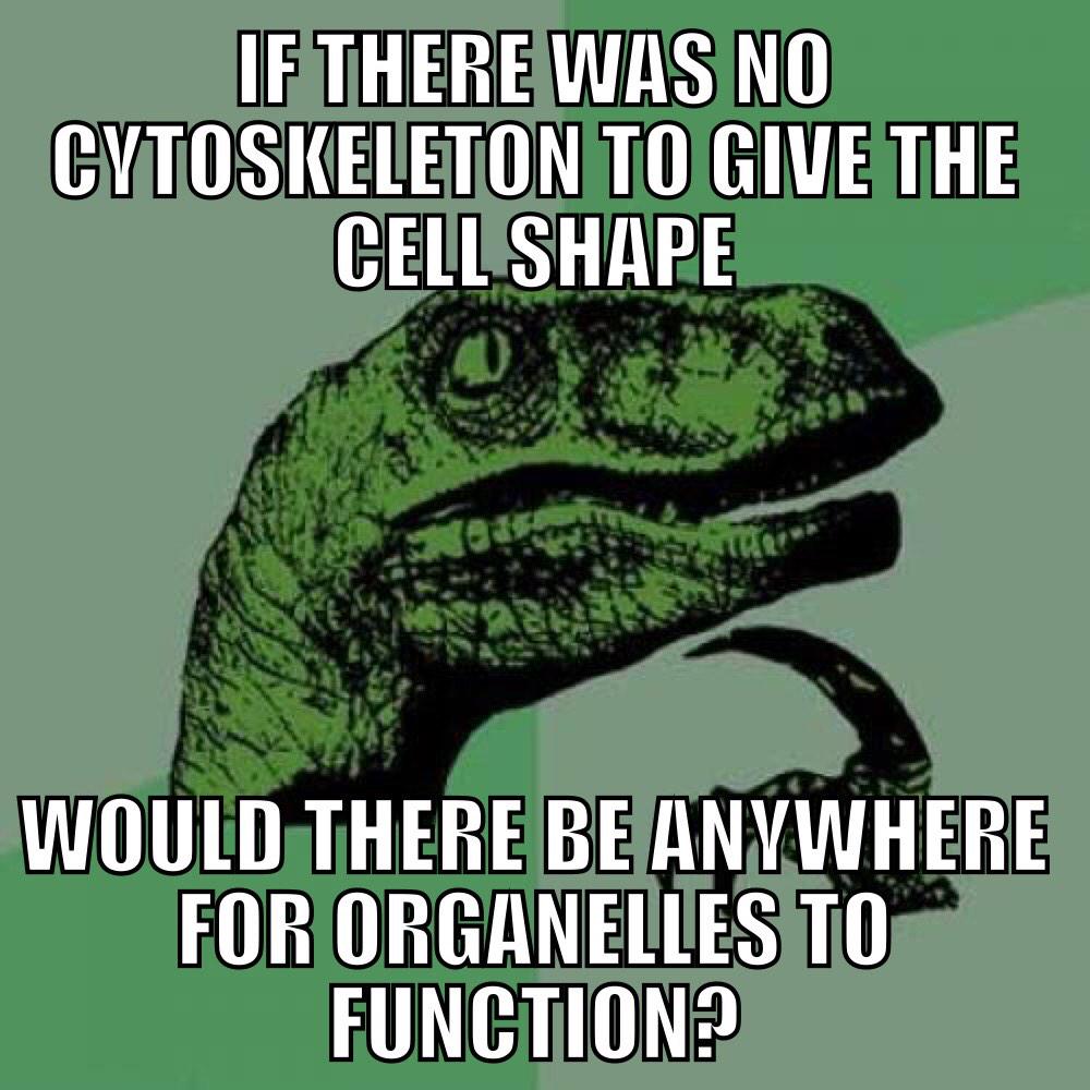 CytoCampaign's tweet photo. @thebiospace #AHSOIC15 http://t.co/uvlj394I1z