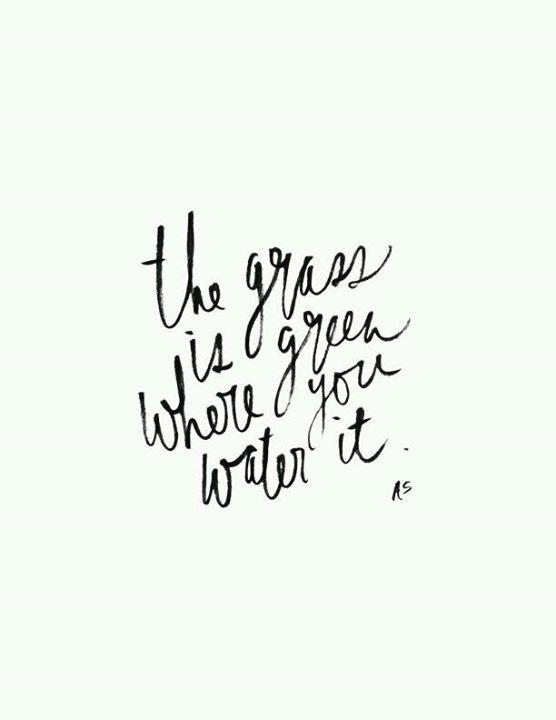 Cupcakenism's tweet image. #NewYouResolution 2015 Tend to your garden of thoughts! #ThinkBIGSundayWithMarsha