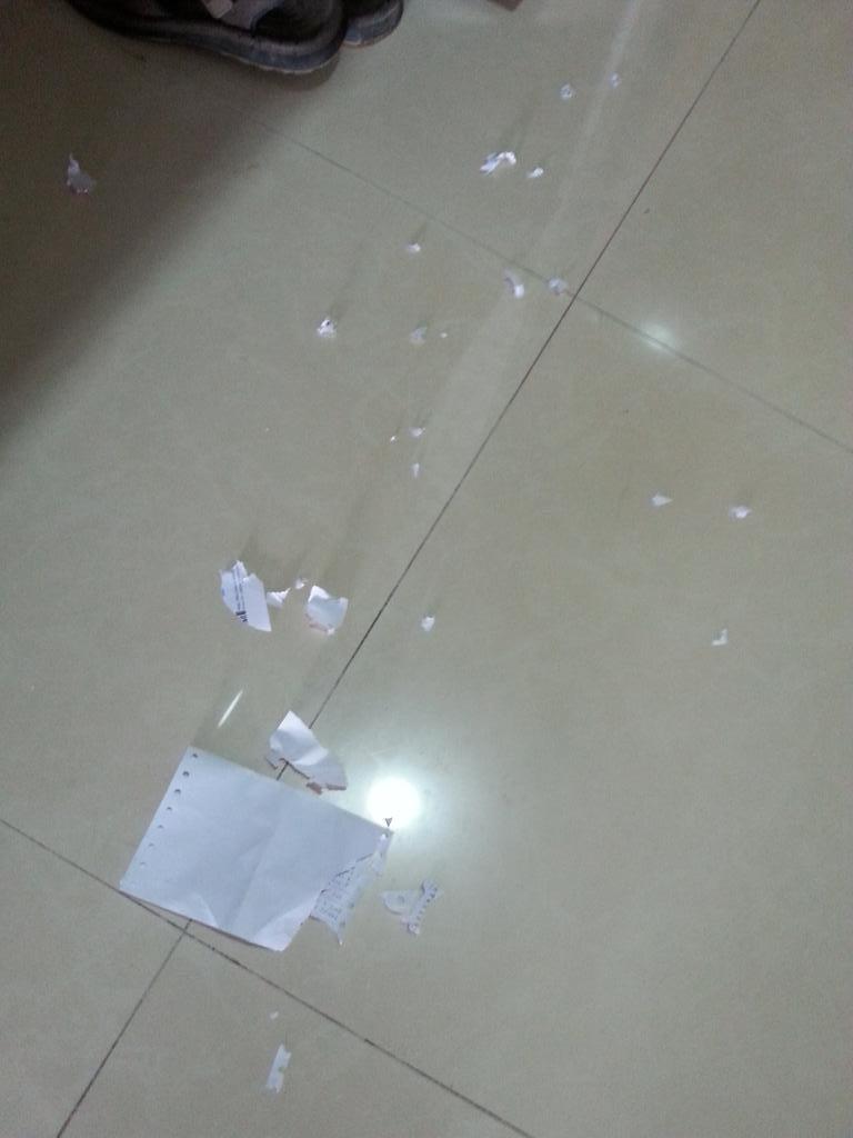 nickthepillow's tweet photo. Free! Personalised shredding service! #catsofdoom #havoctwins #sundaymorning http://t.co/u52yHvJ1mG