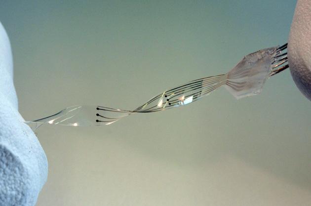 engadget's tweet image. Flexible spinal cord implants will let paralyzed people walk engt.co/1C2Q22h