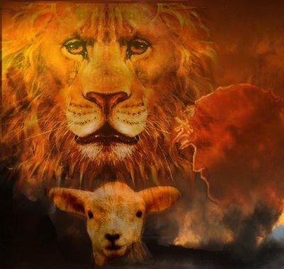 RenewUS tweet media