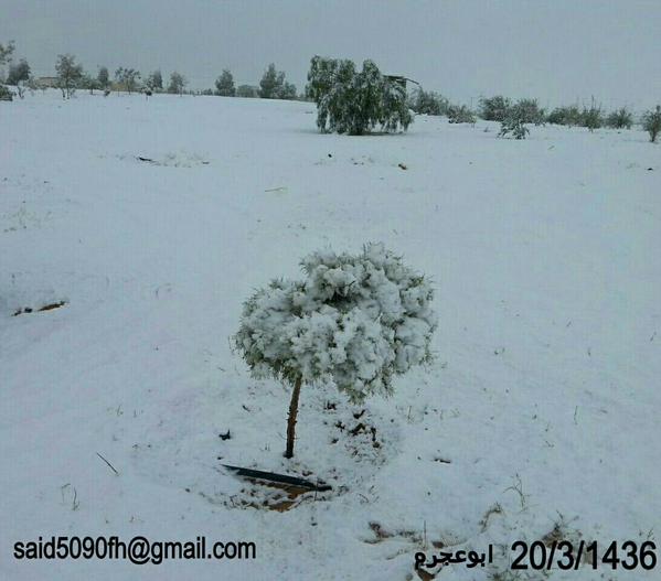 طقس On Twitter مباشر ثلوج كثيفة على ابوعجرم الجوف الان رصد Said5090fh Http T Co Frwqfn6bjb