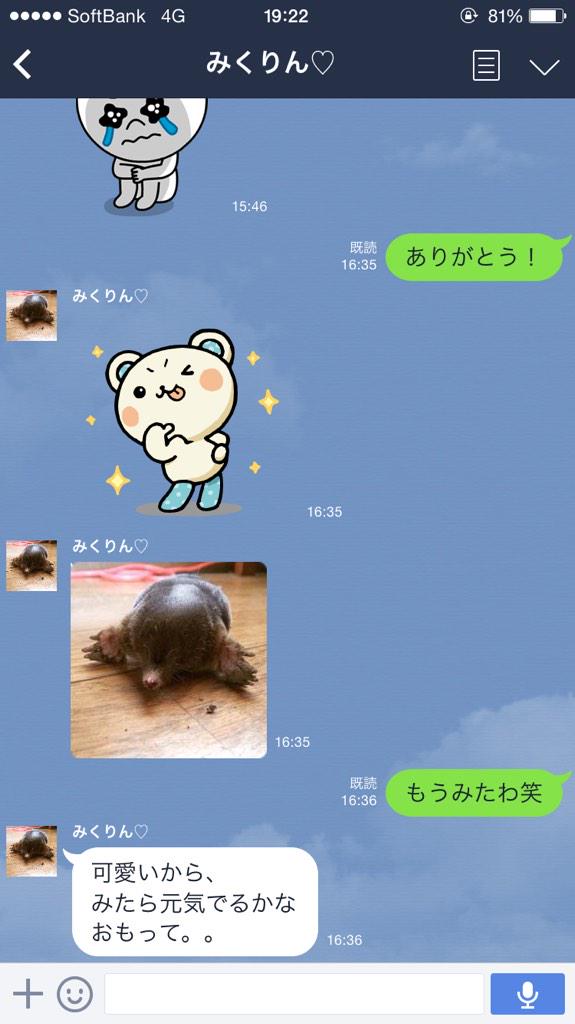 Misafuto 345 Chan 莉乃ちゃん 今日のゲストって何か福田組の仲間って感じだよね スカットジャパン 常勝さっしー大好き黄色いベイマックスになりたい 笑