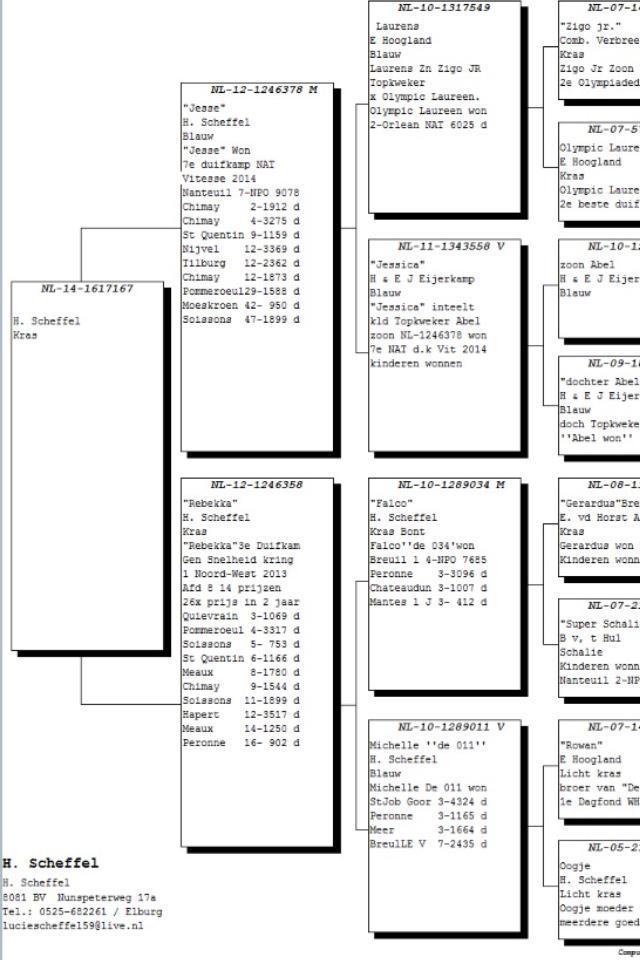 DeGebr's tweet image. Zeer content met deze aankopen! Een meerwaarde voor ons kweekhok!