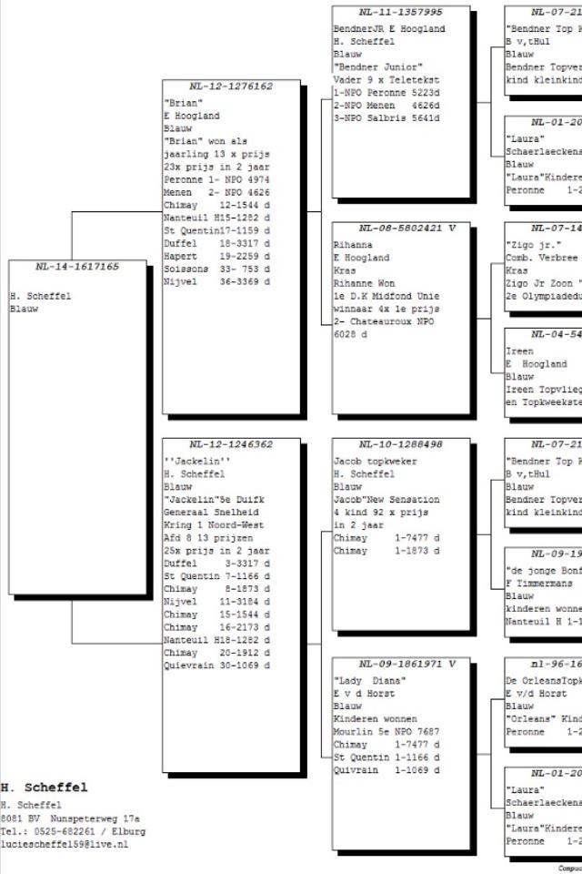 DeGebr's tweet image. Zeer content met deze aankopen! Een meerwaarde voor ons kweekhok!