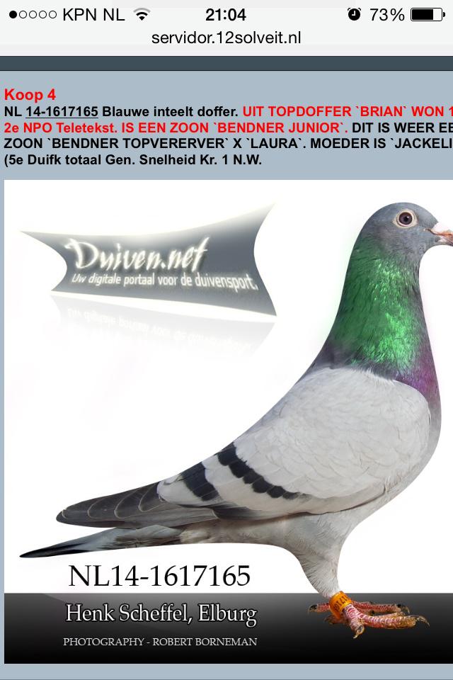 DeGebr's tweet image. Zeer content met deze aankopen! Een meerwaarde voor ons kweekhok!