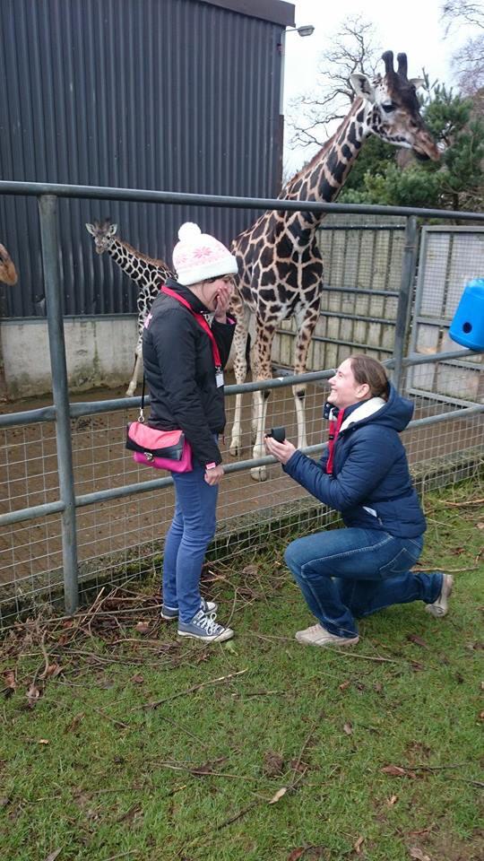fotawildlife's tweet photo. Congratulations to Grace Fanning and Carol Brady who got engaged in the park yesterday :) http://t.co/EeJRwqTgwa