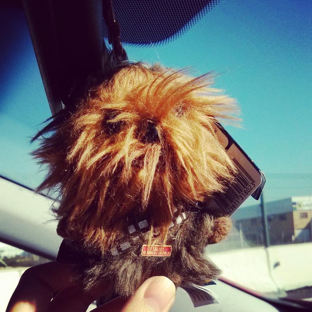yolanda_hv's tweet photo. Chewbacca ¿ cuándo vas a ir a la pelu? Ya toca... http://t.co/dnbleGvJwL