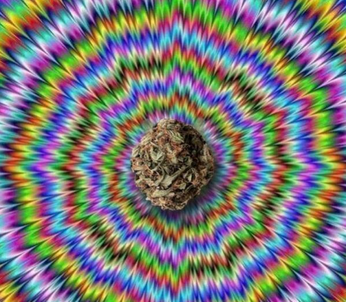 Arkadiusz tweet media