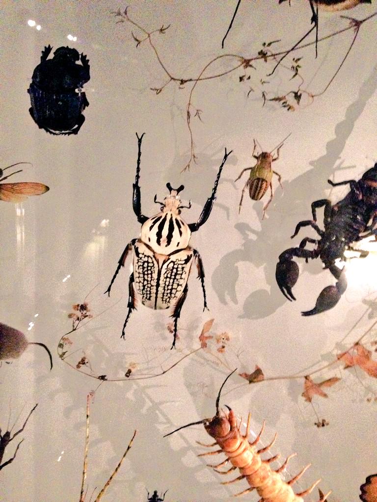 makethepeak's tweet image. Long over due #visit to the @NHM_London  yesterday! #love always! Spending the day #drawing from #inspiration