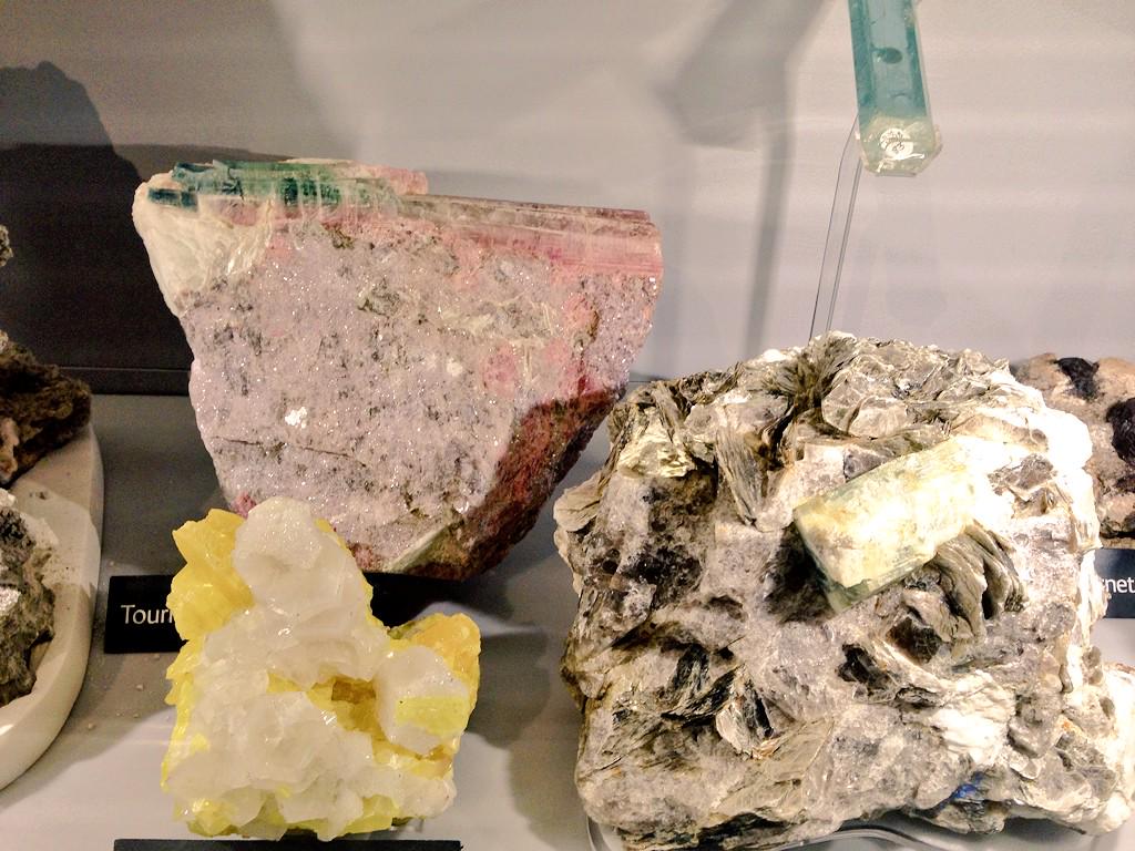 makethepeak's tweet image. Long over due #visit to the @NHM_London  yesterday! #love always! Spending the day #drawing from #inspiration