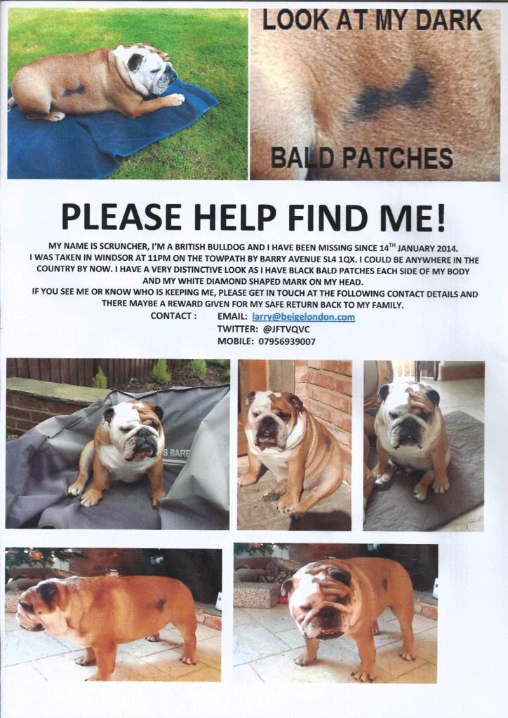 Jill Franks tweet media