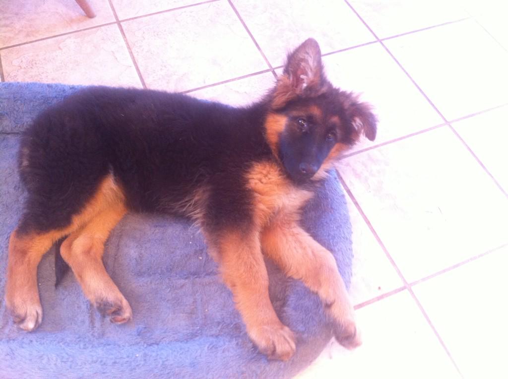 Embedded image permalink