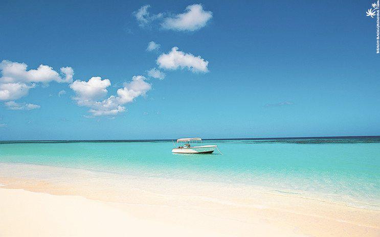 내일 추우니 오늘 비행기를 타고 떠나야짘!