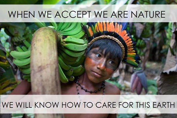 johnlundin's tweet image. "When we accept we are nature we will know how to care for this Earth" - Indigenous Wisdom  #environment #indigenous