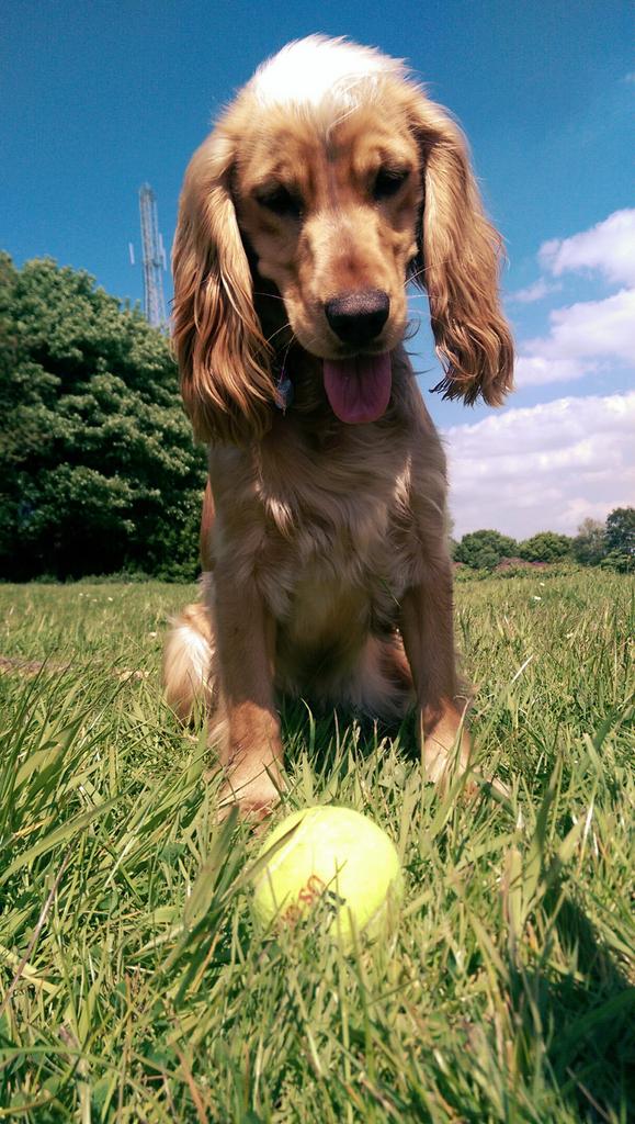 FindPippa's tweet image. Last few tweets for now. Our fav pics of the Pip