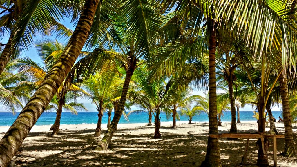MaricarmenAvil's tweet photo. “@LaPerlaPR: Winter morning…
@ Quebradillas-Isabela.
#PuertoRico http://t.co/gAWExWGXmV
Espectacular 😍
