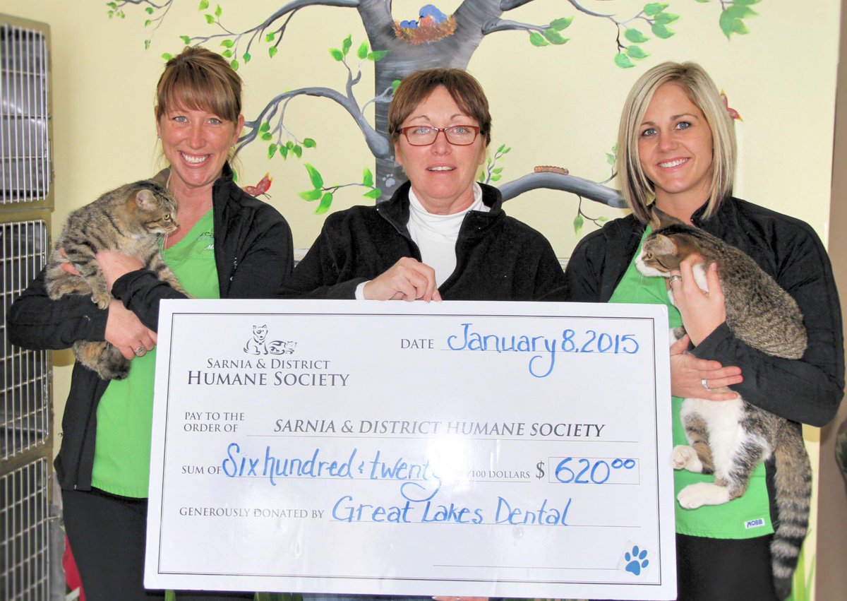 Great Lakes Dental tweet media