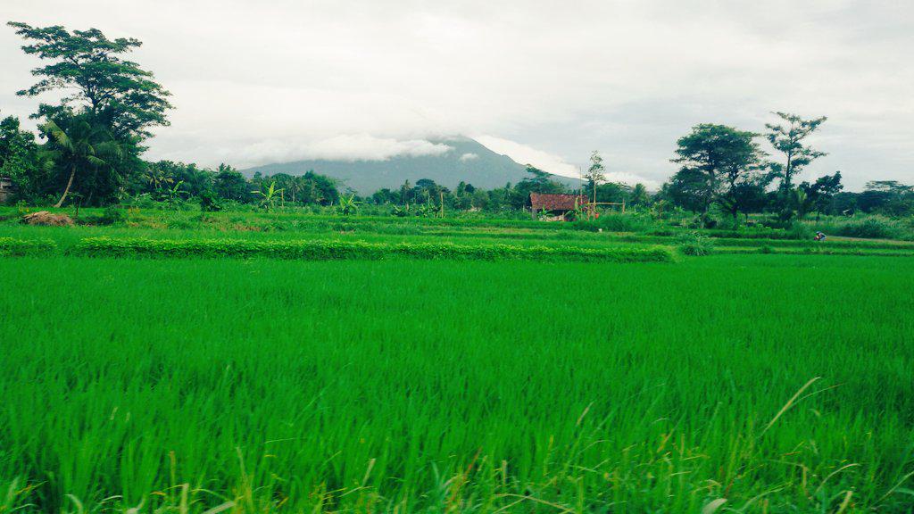 Kaki Gunung Merapi