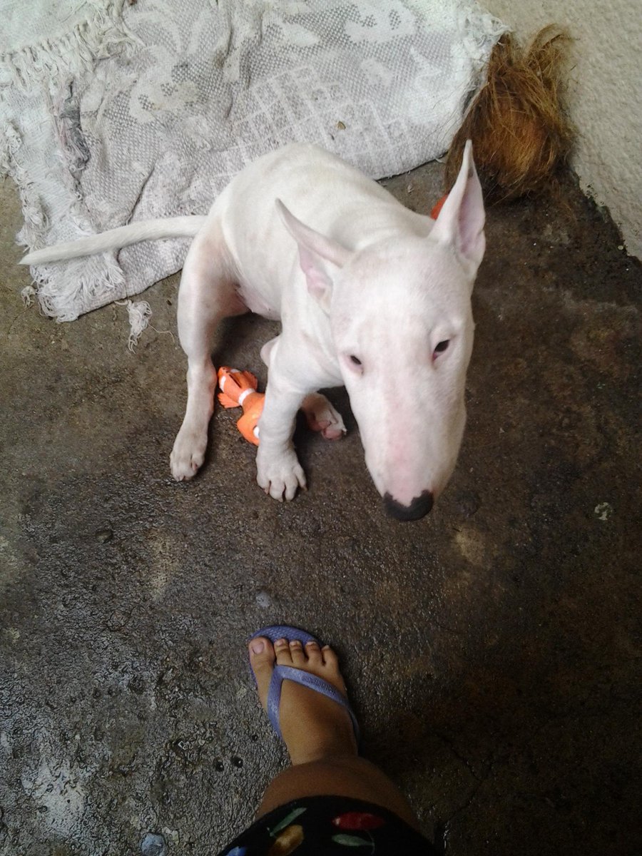 SaraFreites_'s tweet image. Aika dice #medforlife #medsupport #medicosenproceso