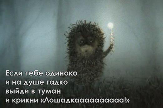 Обои ежик в тумане для телефона