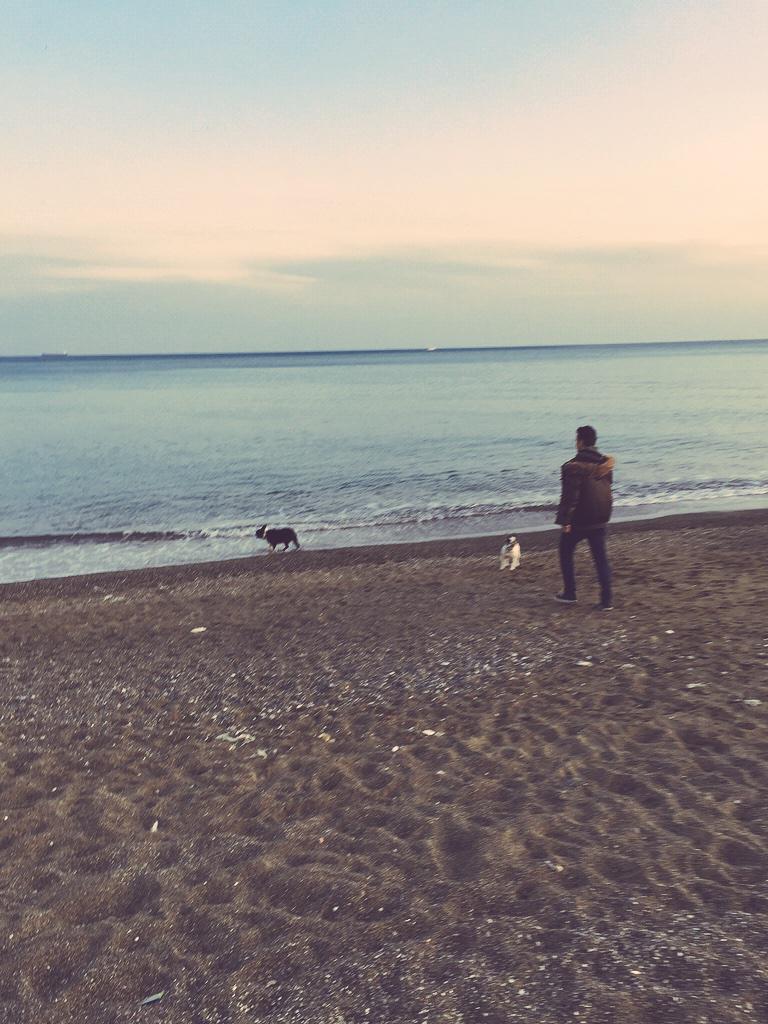 franxistachenko's tweet photo. Tarde de perros http://t.co/Au4n0hKRWz