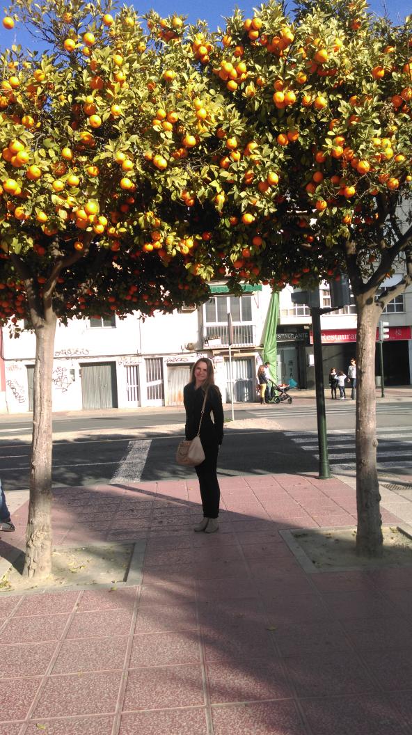 vero_blz's tweet photo. Naranjos x murcia me gusta http://t.co/UAXkpmuawF