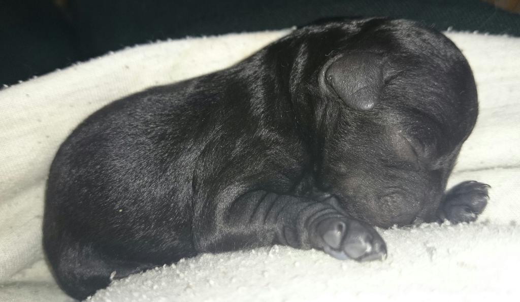 cachecache10231's tweet image. 