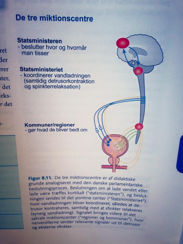 JensGuldborg's tweet photo. Visse lærebøger forsøger at inducere en samfundspolitisk bevidsthed i den kommende lægestand. #dkpol #studmed http://t.co/cxG3YczvTV