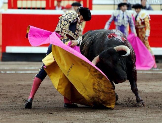 AFC_taurinos's tweet photo. Y me preguntaron que porque me gustan los toros? Pues para ver cosas tan bonitas como esta, inigualables!! http://t.co/4AgA69HToq