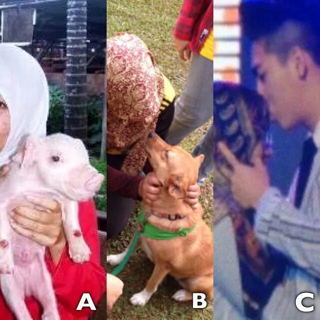 CapitzSudin's tweet photo. A..B..C..Yang Mne Satu Haram??? 
#KpopAcikKau!!
#SejukPerutMakKauWoii http://t.co/Mf0BaHmCj5