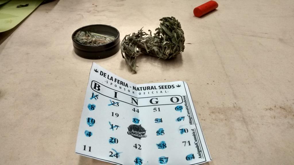 OnWeed_TV's tweet photo. Ya en el bingo, Así se porta uno de los ganadores del concurso por entradas. #BingoADC http://t.co/ikML0XT7DP