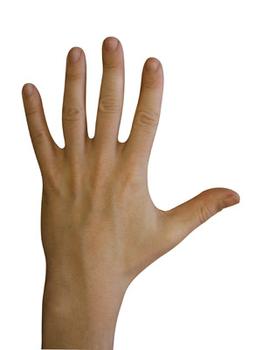 OnlyLefties tweet picture