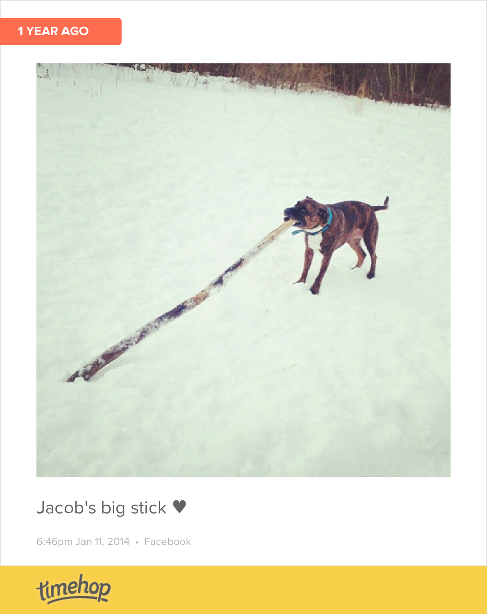 aww timehop.com/c/fup:10153666…