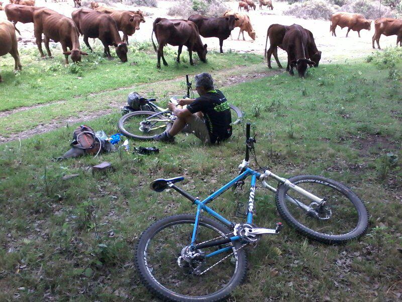 Glenn Harrison tweet media