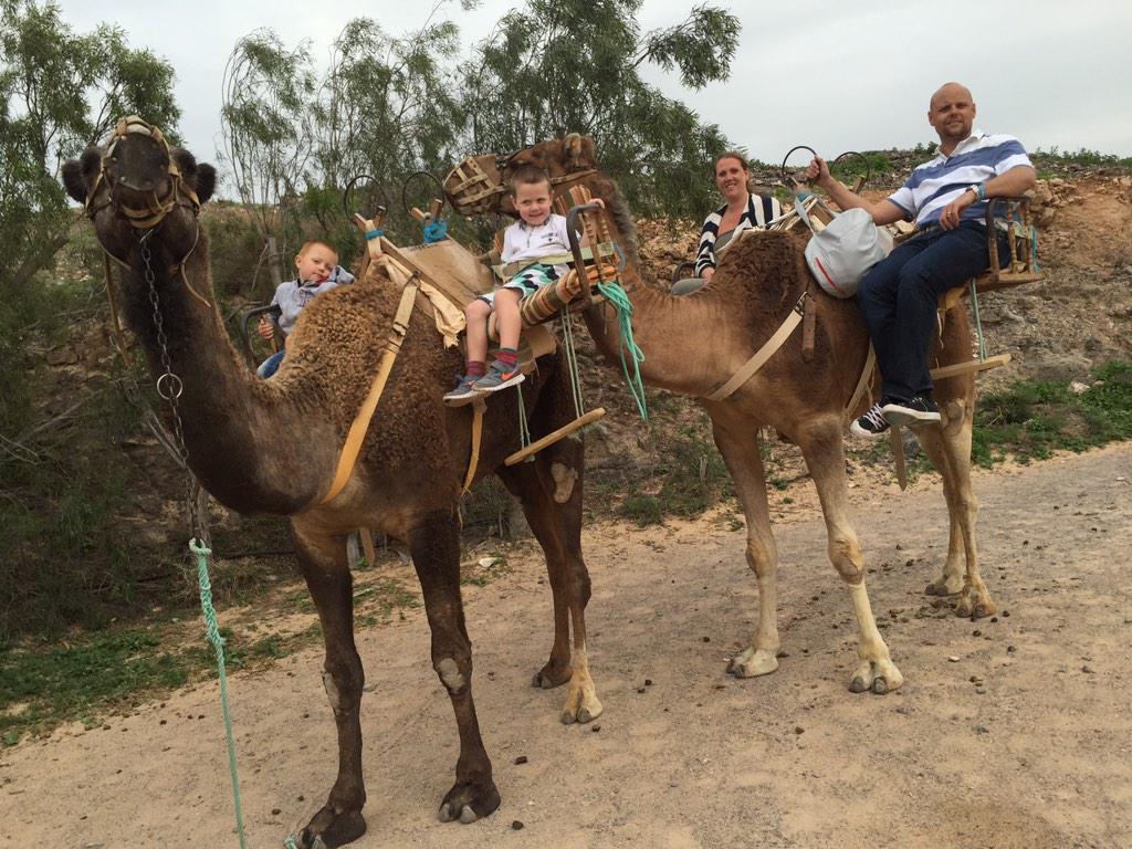 rob_bayley's tweet image. Fantastic Family day #bitbumpy