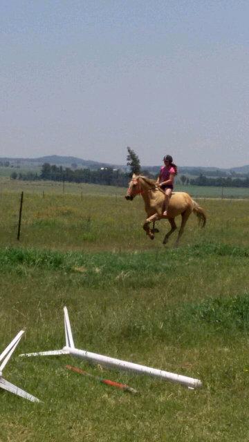 NeighQ1998 tweet picture