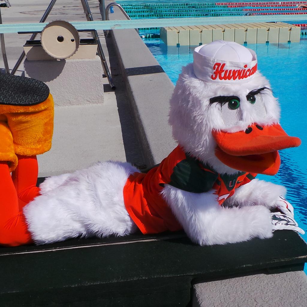 University of Miami Swim Meet, I met someone special. He likes the outdoors. He is funny. My "mita naranja?"