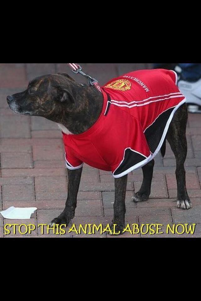 This has to stop ... #MUNSOU”