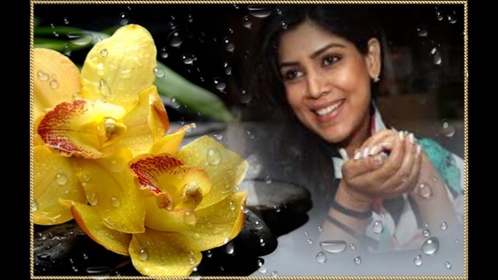 Happy Birthday Sakshi Tanwar  