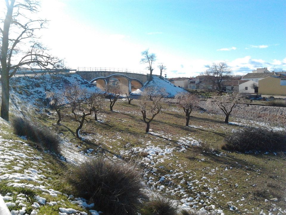 TCamporrobles's tweet photo. Esperando que Camporrobles nos muestre su belleza natural cubierta de nieve #Camporrobles. http://t.co/KEb8Yu8zgs