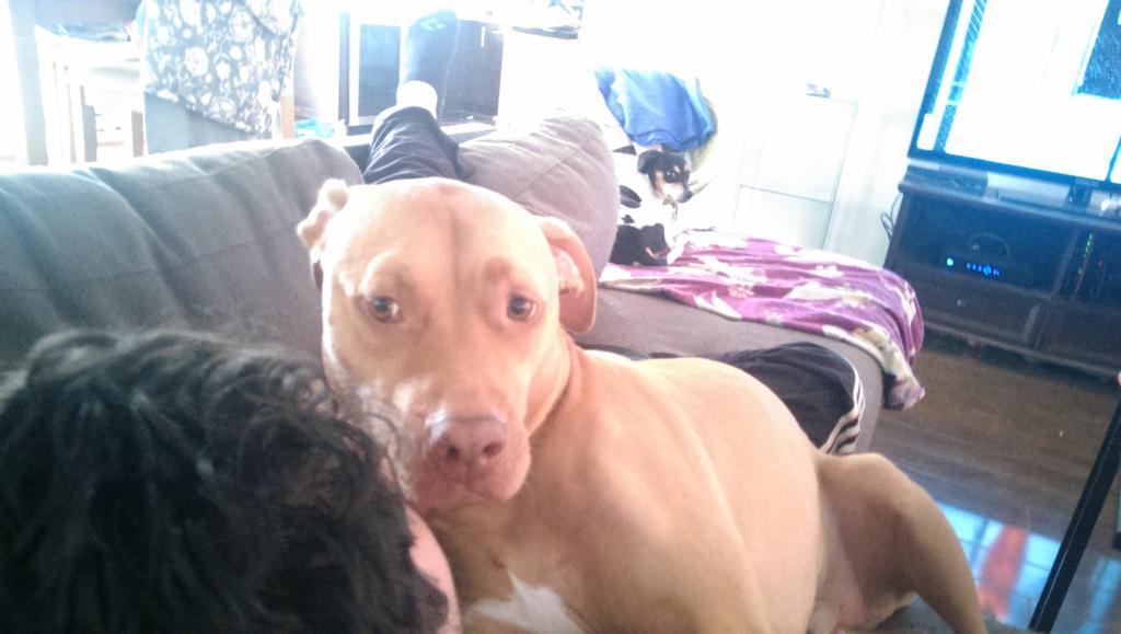 PatDonovanRadio's tweet image. #Packers - #Cowboys #ObstructedView