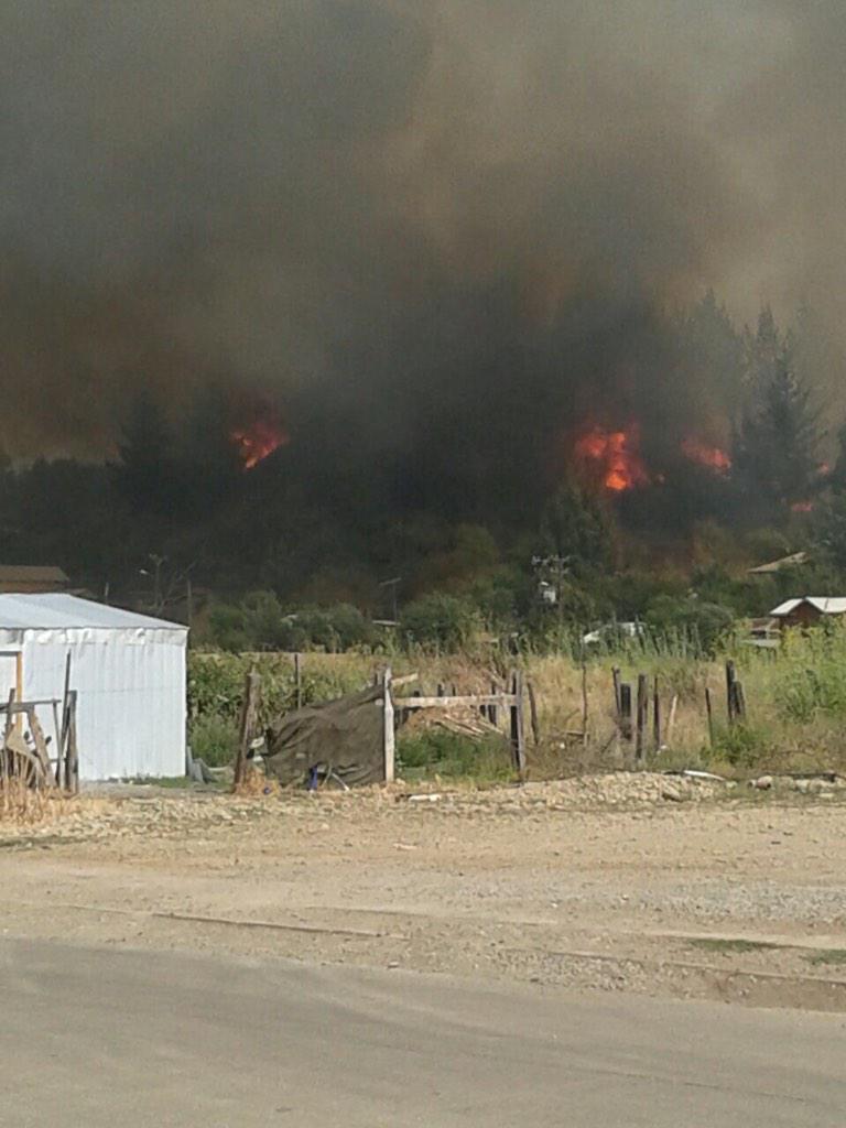 GrupoWurtlitzer's tweet photo. [17:08] INCENDIO FORESTAL de avance rápido en #Mulchén. Viviendas comprometidas (FOTO @Lralarcon) http://t.co/BSV6fqM9cl