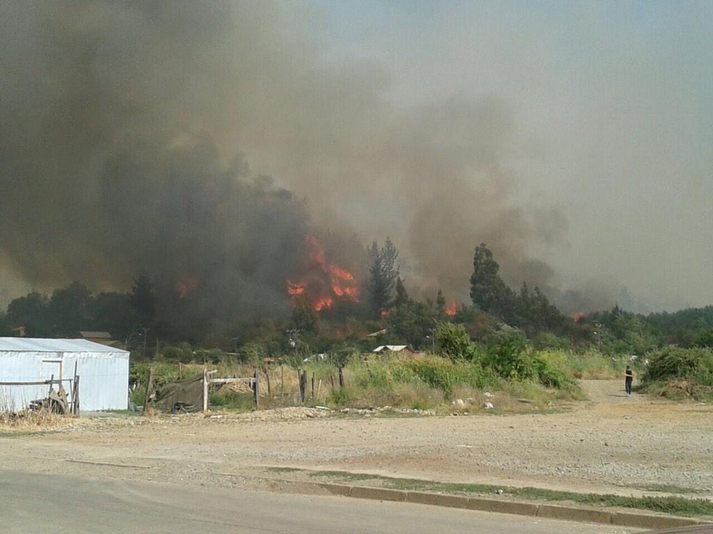GrupoWurtlitzer's tweet photo. [17:08] INCENDIO FORESTAL de avance rápido en #Mulchén. Viviendas comprometidas (FOTO @Lralarcon) http://t.co/BSV6fqM9cl