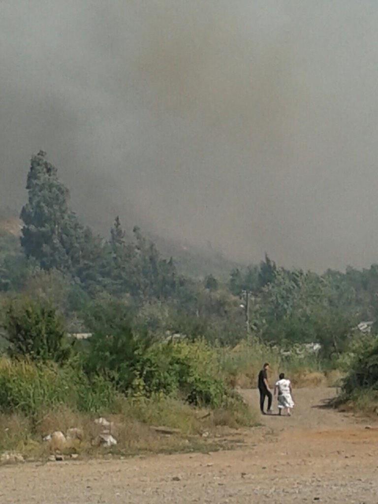 GrupoWurtlitzer's tweet photo. [17:08] INCENDIO FORESTAL de avance rápido en #Mulchén. Viviendas comprometidas (FOTO @Lralarcon) http://t.co/BSV6fqM9cl
