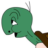 PopHaydn's tweet photo. The expectation of a Republican Congress has saved the planet! #turtlebrag http://t.co/NG0uFmgRHH