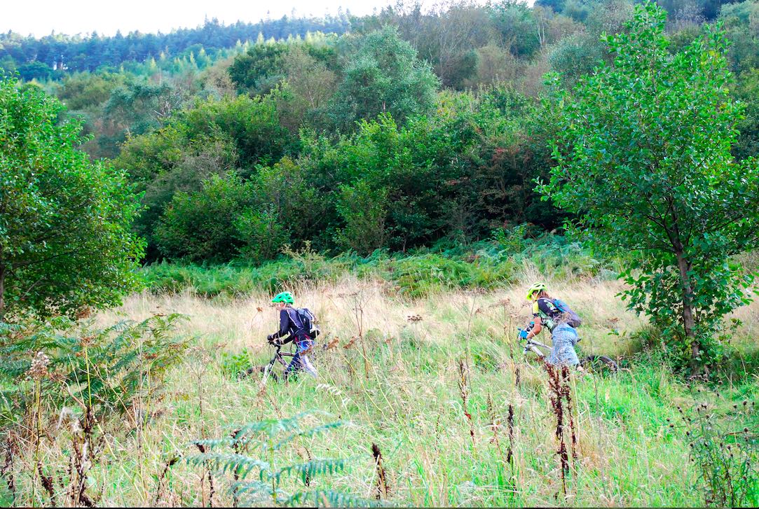 Parsonage_Farm's tweet image. The @Quantockhills and @ExmoorNP are great places for mountain biking!