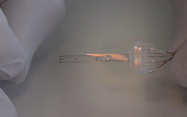 PopMech's tweet photo. Can this stretchy spinal implant help people paralyzed from spinal injuries? http://t.co/4rvaXwLUMc http://t.co/YJYoXReFYR