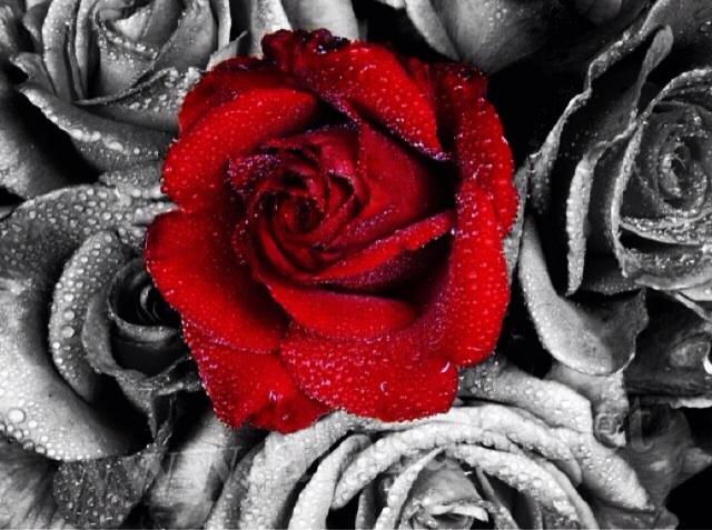 cccsss99's tweet photo. http://t.co/Bsc3EcriQy
